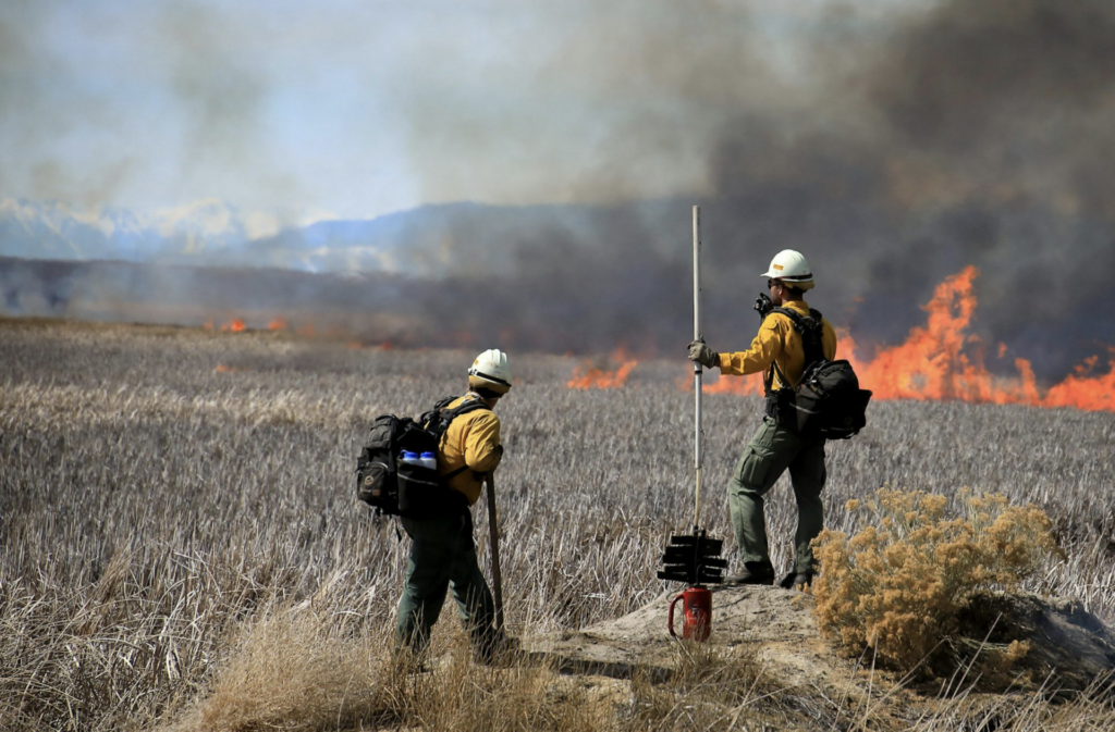 Firefighters monitor a prescribed burn